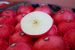 零售巨頭發(fā)力破局水果價(jià)格飆漲 產(chǎn)地直采重構(gòu)鮮果消費(fèi)新生態(tài)